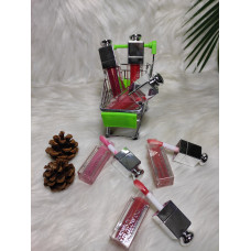 WARDABEAUTY BRILLO X 24 COD WB372