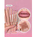 SHEGLAM DELINEADOR LABIAL CON CAJA X 24 COD 6972